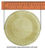 Load image into Gallery viewer, 25 Eco Friendly Compostable Disposable Areca Palm Leaf Round Plates - Fast Delivery

